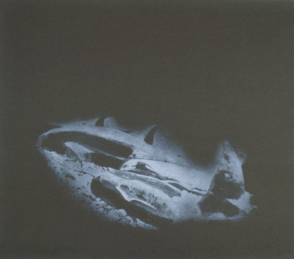 Pothead whales/Point au Gaul Series: Silence