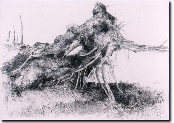 Study For Uprooted