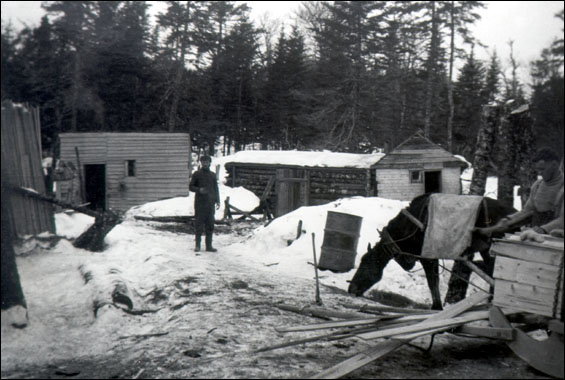 Lumbering Camp at Jacks Pond, Trintiy Bay, n.d.