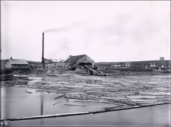 Usine de bois de sciage de Botwoodville, vers 1900