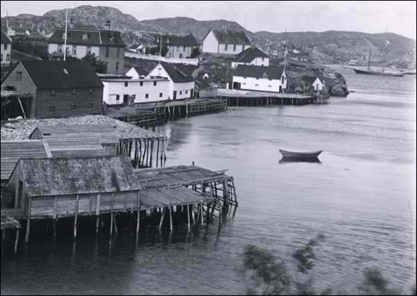 Collins Cove, Burin, vers 1900