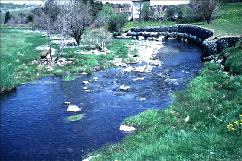Cours normal de la rivière Rennies, St. John's, juin 1986