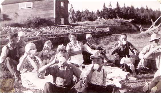 Les familles Budgell et Combden, Wild Cove, vers 1950