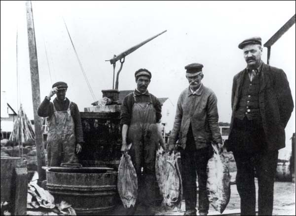 Des pêcheurs au port de St. John's, s.d.