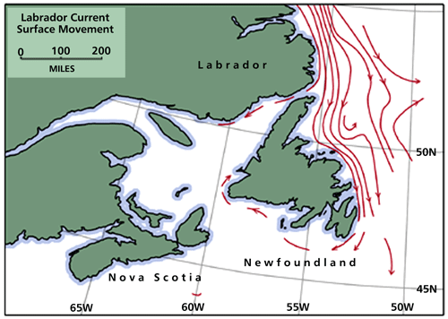 Labrador Current Surface Movement