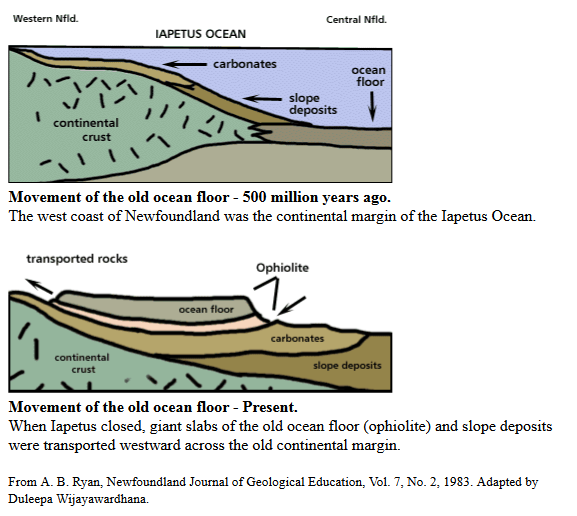 Movement of the Ocean Floor, Then and Now Movement of the Ocean Floor, Then and Now
