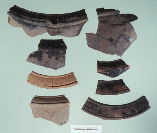 Examples of Pottery Rims