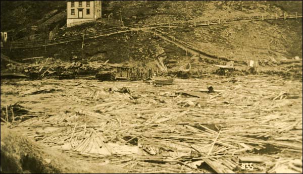 Shoreline after the Tsunami, 1929