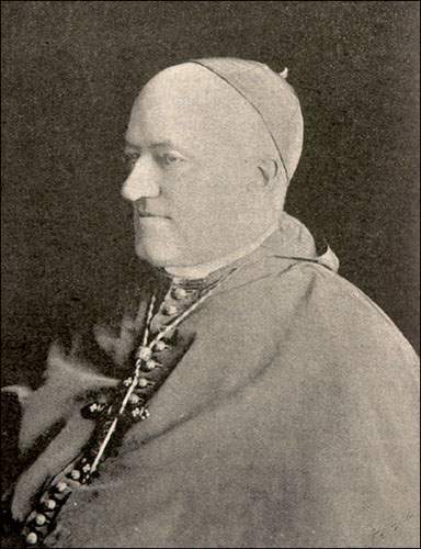 Bishop Thomas Power (1830-1893), n.d.