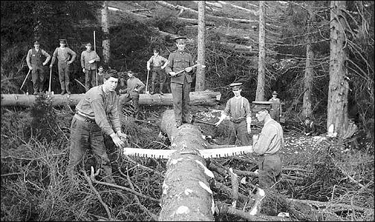 Membres du Newfoundland Forestry Corps au travail en Écosse, vers 1917