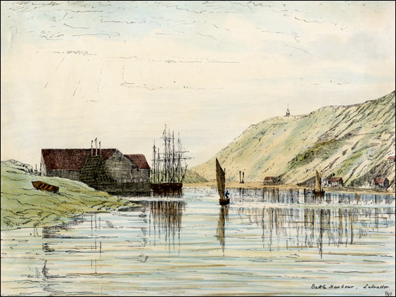 Battle Harbour by Rev. William Grey, ca. 1877
