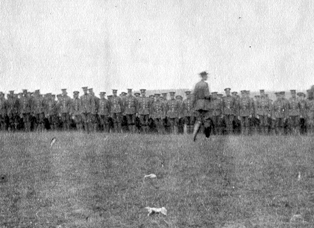 Les Soldats du Newfoundland Regiment Défilent, s.d.