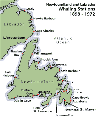 Newfoundland and Labrador Whaling Stations, 1898-1972