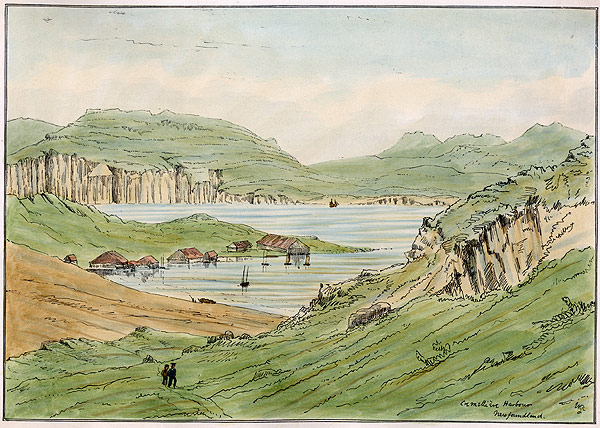 Plate XI. Cremilliere, French Shore, NL