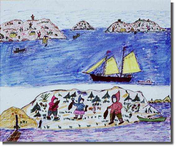The Schooners The Schooners