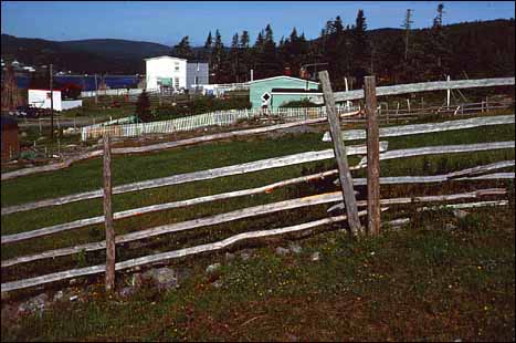 A Longer Fence in Calvert, Southern Shore