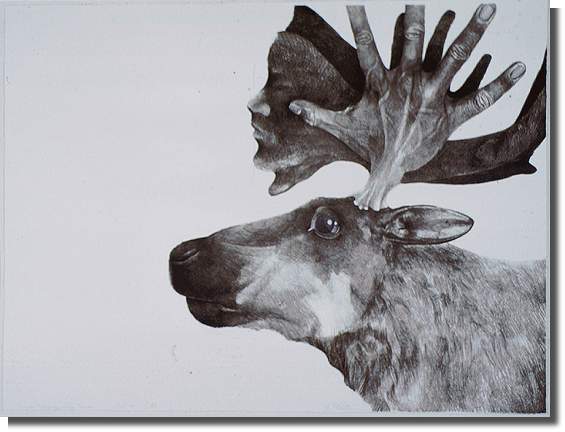 Labrador Inuit Mythology Series: Caribou