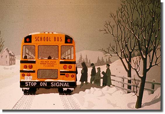 School Bus, Conception Bay