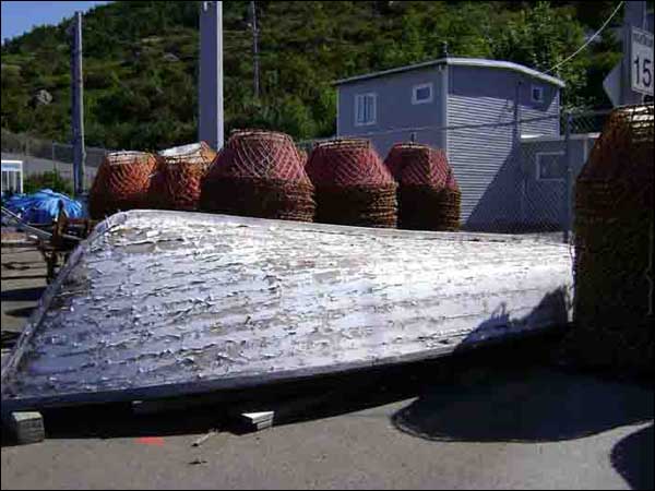 Crab Nets, 2007