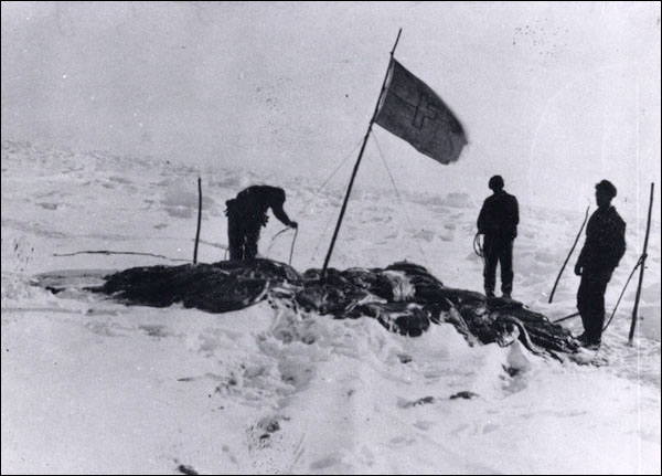 The Florizel Flag on a Pan, post-1908 The Florizel Flag on a Pan, post-1908