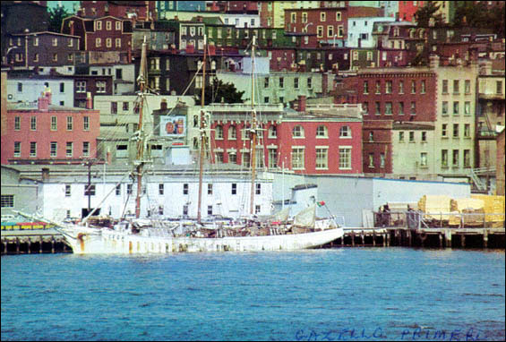 Gazela Primeiro, St. John's, n.d. Gazela Primeiro, St. John's, n.d.