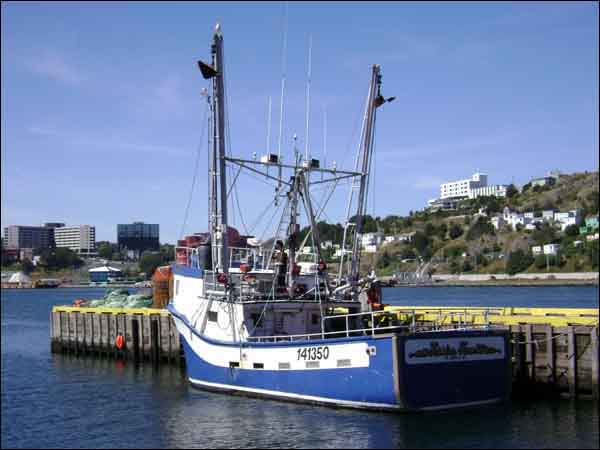 Longliner Docked at St. John's, 2007