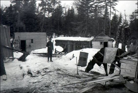 Lumber Camp, Jacks Pond, Trinity Bay, n.d. Lumbering Camp at Jacks Pond, Trintiy Bay, n.d.