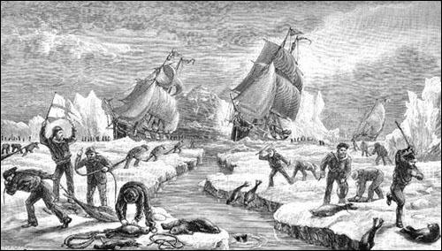 The Seal Hunt, ca. 1883