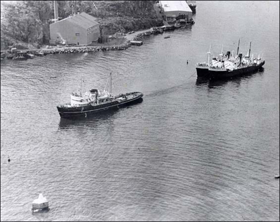 Tug Koral towing the Bar Haven and Springdale out of St. John's harbour, 1974