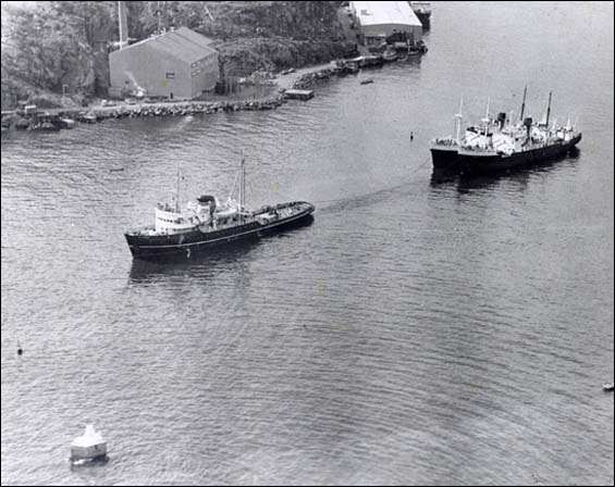 Tug Koral towing the Bar Haven and Springdale out of St. John's harbour, 1974 Tug Koral towing the Bar Haven and Springdale out of St. John's harbour, 1974