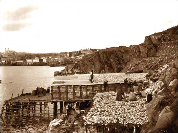 Women working on flakes, Outer Battery, St. John's, n.d. Women working on flakes, n.d.