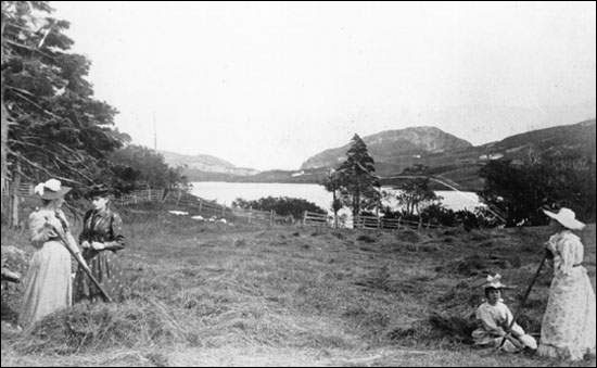 Unidentified women making hay, n.d.