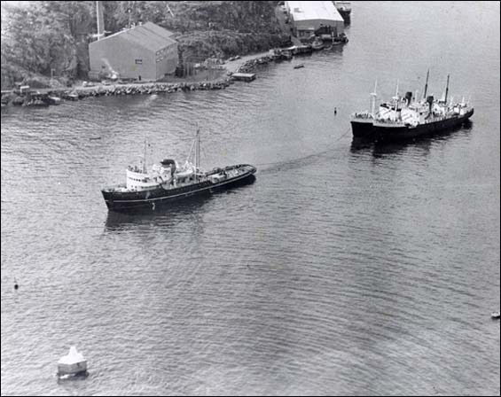 Le Bar Haven et le Springdale, en 1974