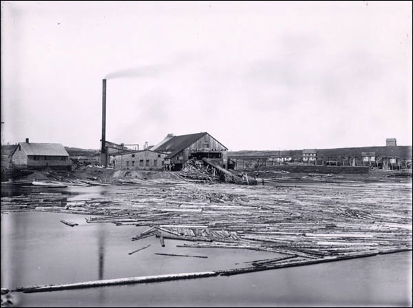 Usine de bois de sciage de Botwoodville, vers 1900 Usine de bois de sciage de Botwoodville, vers 1900