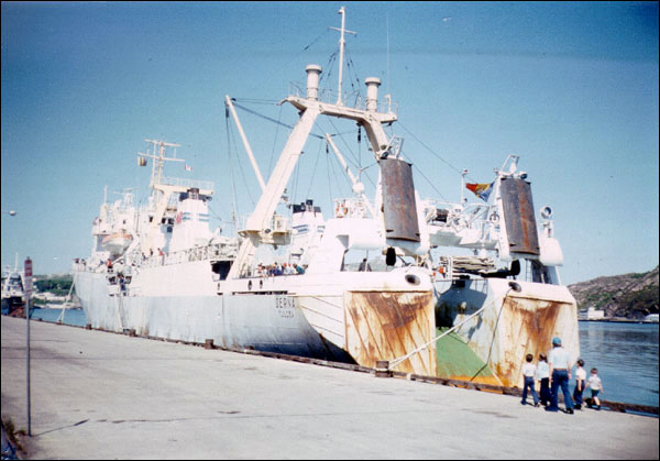 Le Cerna, après 1976