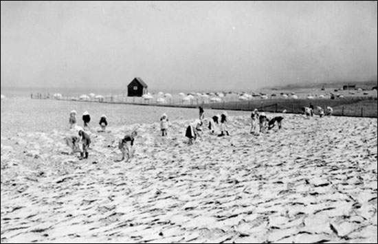 Femmes sur la plage traitant le poisson, vers 1940 Femmes sur la plage traitant le poisson, vers 1940