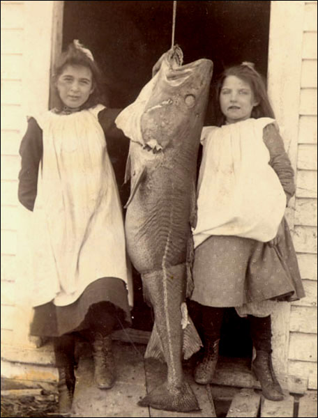 Fillettes non identifiées avec une morue, vers 1905