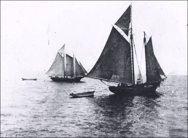 Goélettes et barques, s.d.