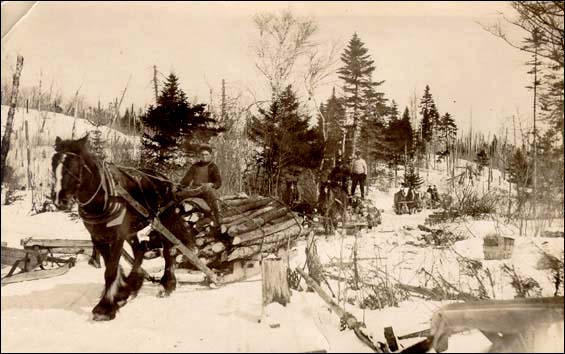 Halage du bois, entre 1907 et 1928