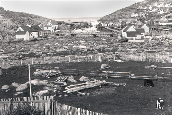 Petty Harbour, vers 1895