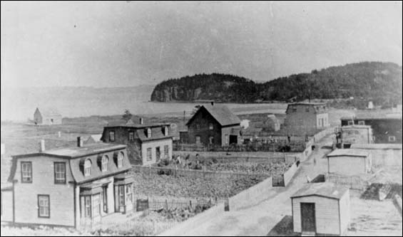 Résidences et potagers, Haystack, baie Placentia, vers 1915