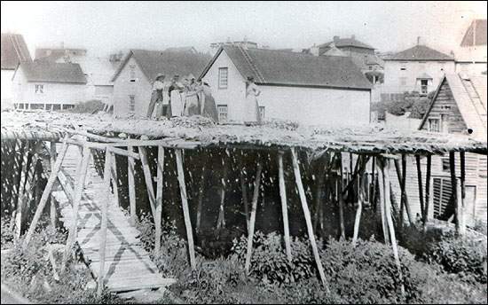 Séchage du poisson sur des vigneaux, s.d.