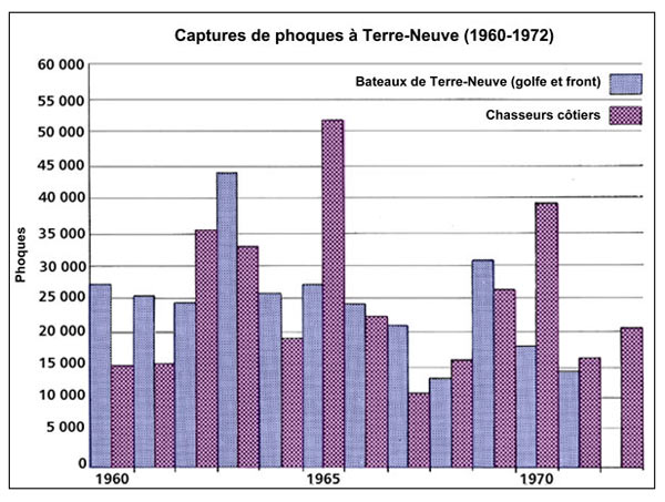 Captures de phoques à Terre-Neuve (1960-1972)