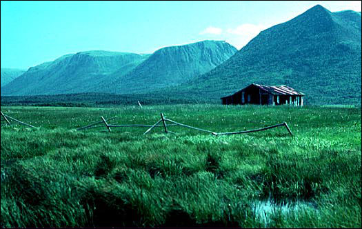 Secteur de Wreckhouse, vallée Codroy