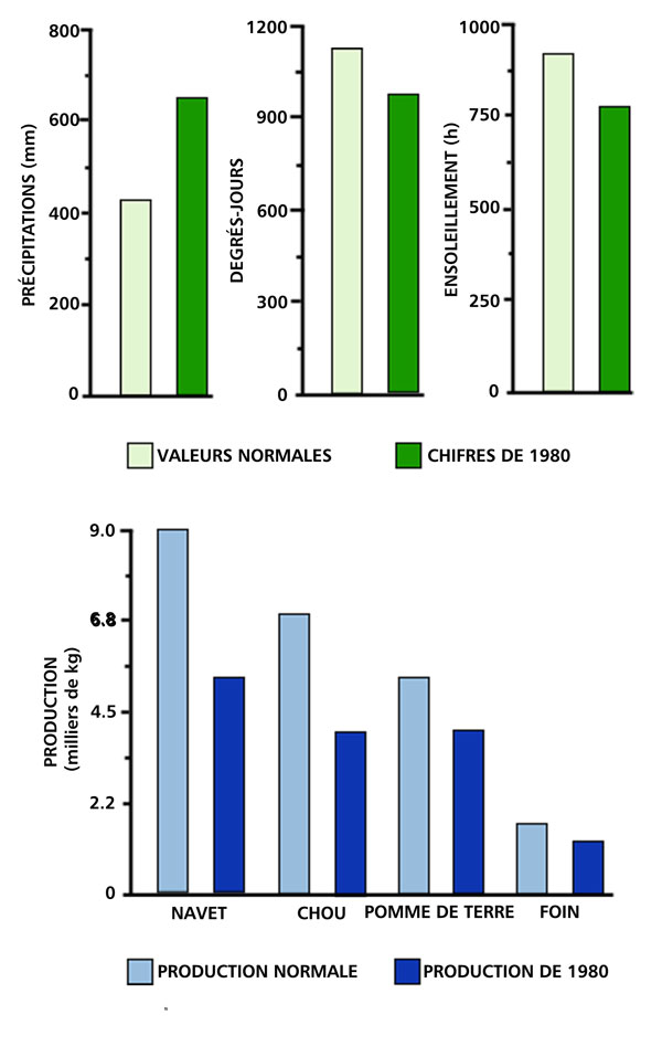 L'été 1980 : étude de cas