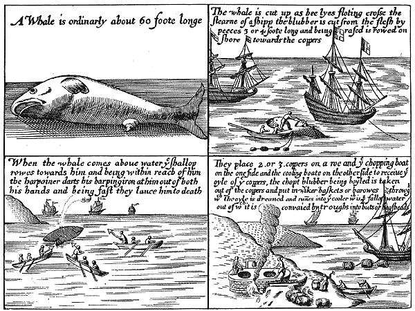 Méthodes de chasse à la baleine au 17e siècle, à Spitsbergen