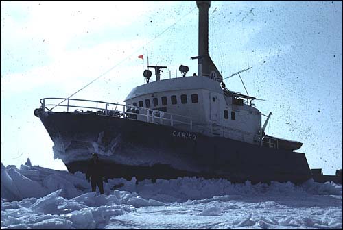 Le Carino, un navire phoquier, sur la banquise en 1972