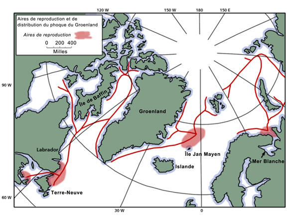Aires de reproduction et de distribution du phoque du Groenland