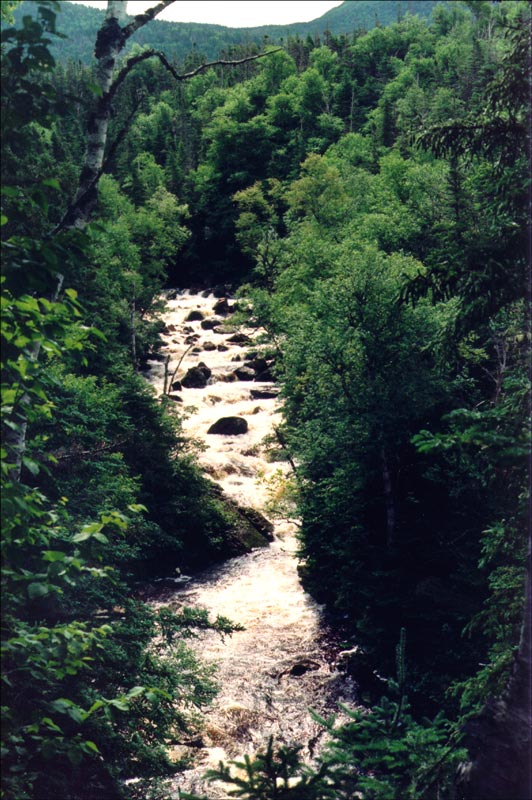 Ruisseau bordant le sentier du Gros Morne, parc national du Gros-Morne