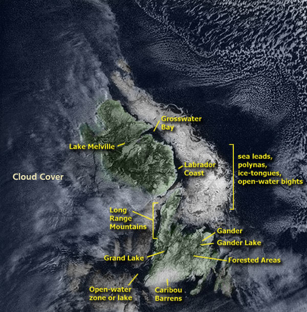 Image satellitaire de Terre-Neuve et du Labrador